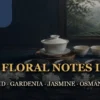 How to Tell Floral Tea Aromas Apart: Orchid, Gardenia, Jasmine and Osmanthus - ABoxTik 一盒精品 21