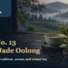 Green Jade oolong tea setting with the TTES No. 13 article title and misty tea fields