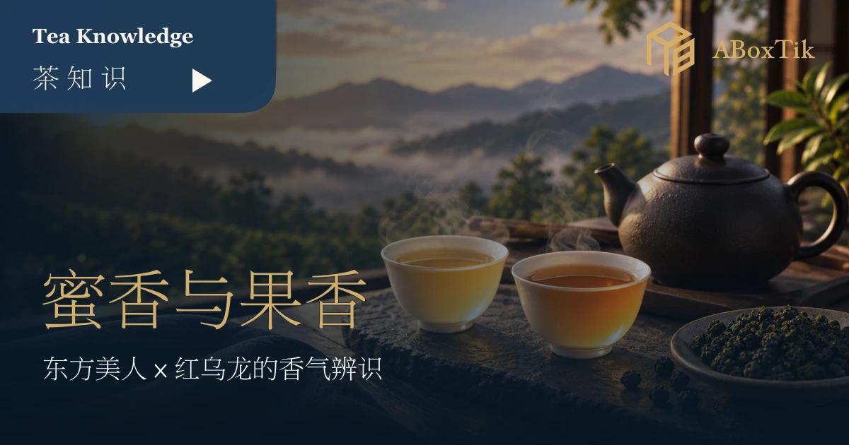 两杯琥珀色台湾茶并排于暖色茶席，作蜜香与果香感官比较