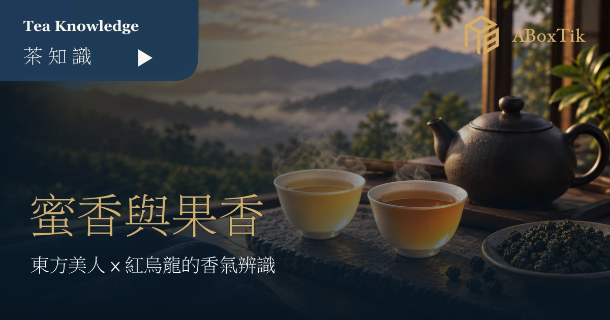 兩杯琥珀色台灣茶並排於暖色茶席，作蜜香與果香感官比較
