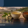 清香型与焙香型台湾茶并列茶席首图