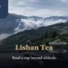 What Is Lishan Tea? Altitude, Season, Flavor and How to Choose - ABoxTik 一盒精品 209