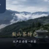梨山茶山景与茶席上的梨山茶特色标题