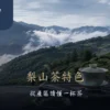 梨山茶特色怎麼看？海拔、產季、風味與選茶指南 - ABoxTik 一盒精品 208