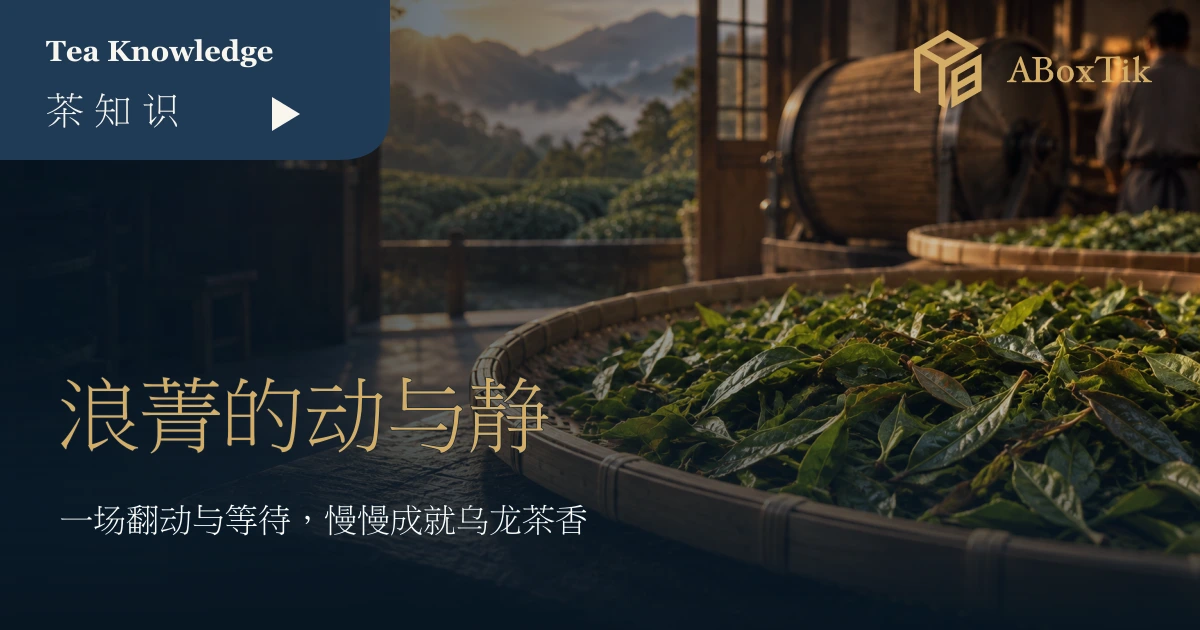 竹笳笠上经受控浪菁后静置的乌龙茶菁与制茶工艺场景