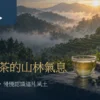杉林溪霧林茶景與溫暖茶席上的杉林溪茶特色標題