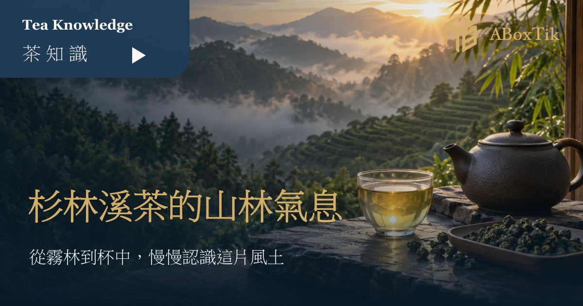 杉林溪霧林茶景與溫暖茶席上的杉林溪茶特色標題