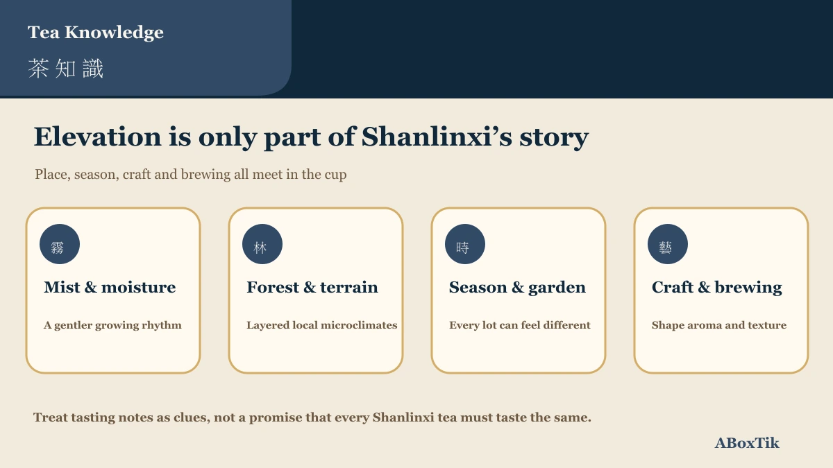 Diagram of environment, season, making and cup for Shanlinxi tea