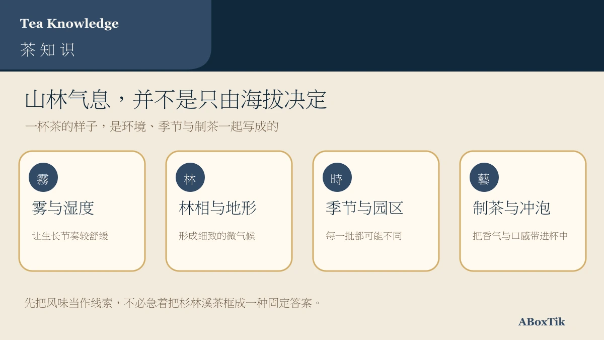 杉林溪茶从环境、季节、制程到茶汤的信息图