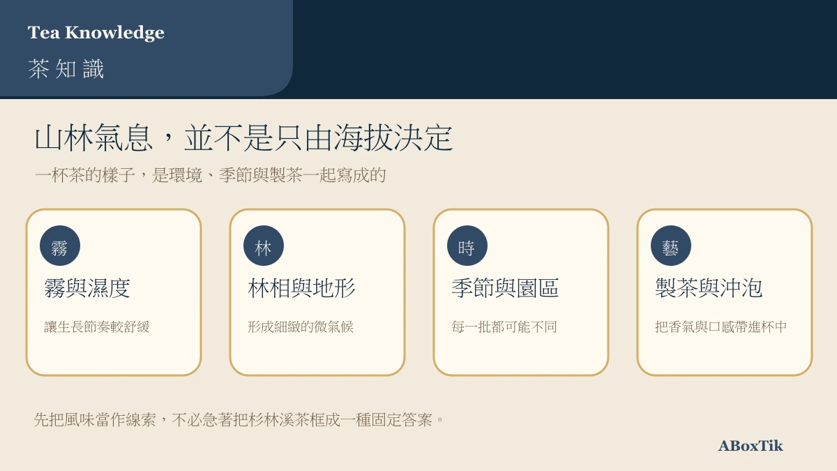 杉林溪茶從環境、季節、製程到茶湯的資訊圖