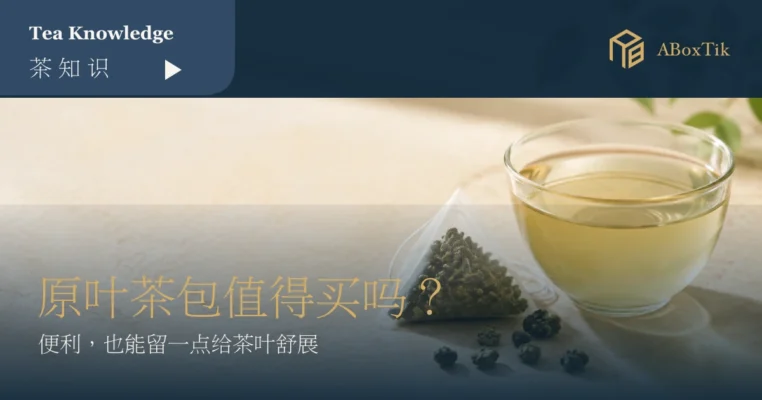 玻璃杯与透明原叶三角茶包的原叶茶包选购情境