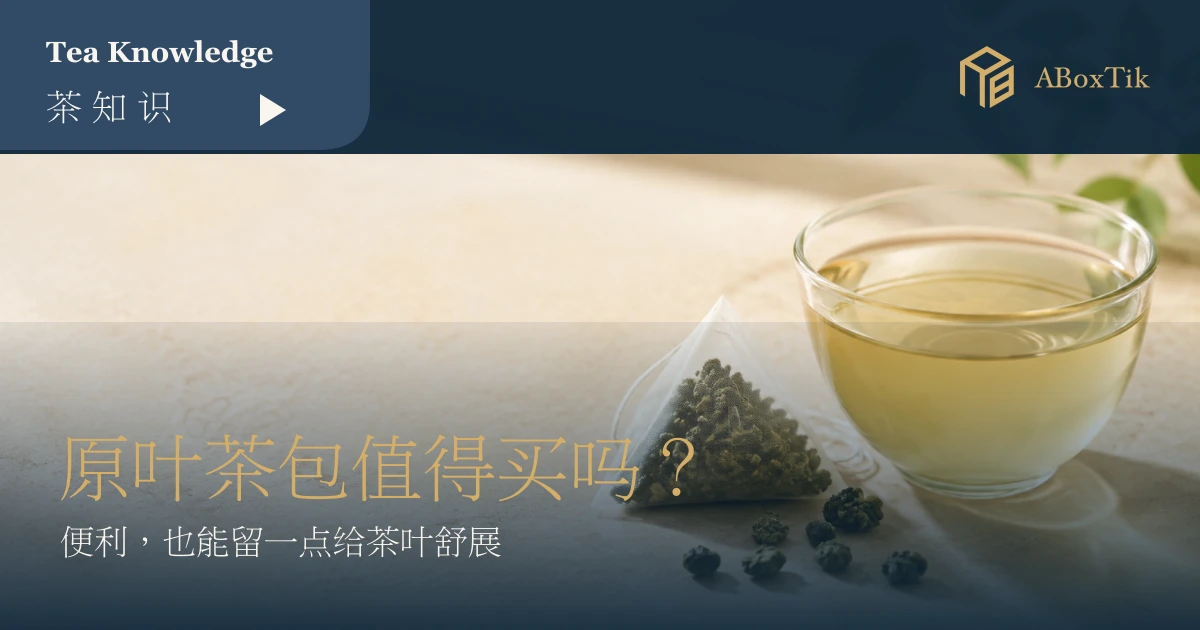 玻璃杯与透明原叶三角茶包的原叶茶包选购情境