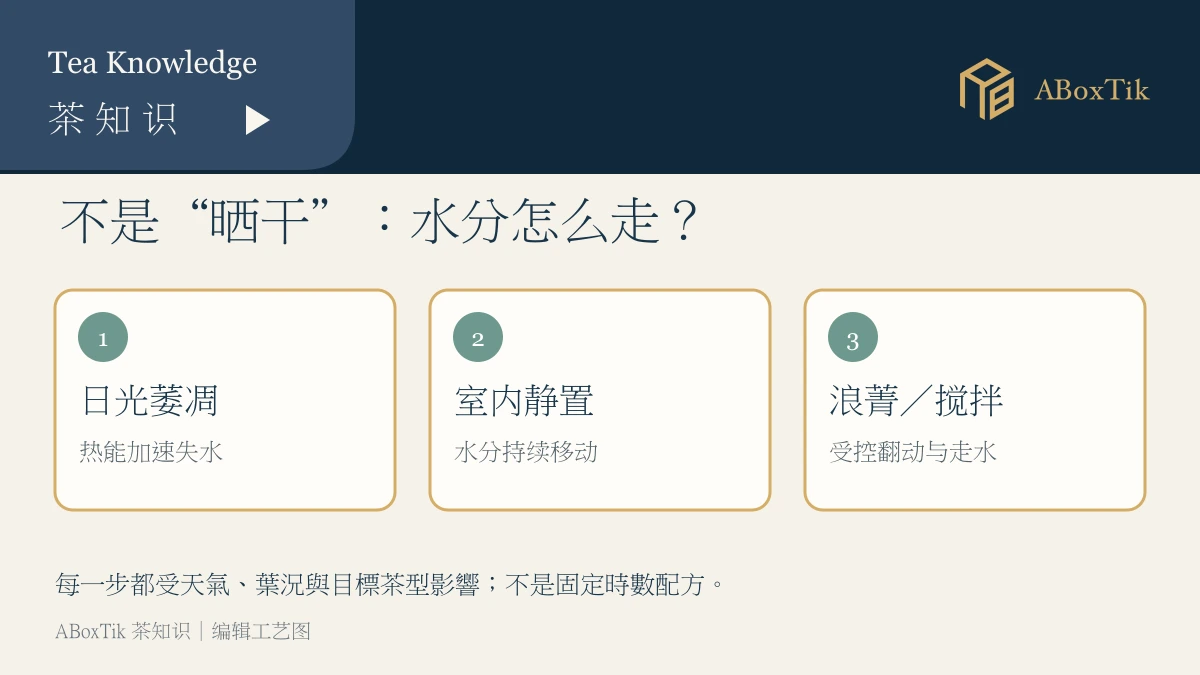日光萎凋、室内静置与浪菁走水的三步关系图