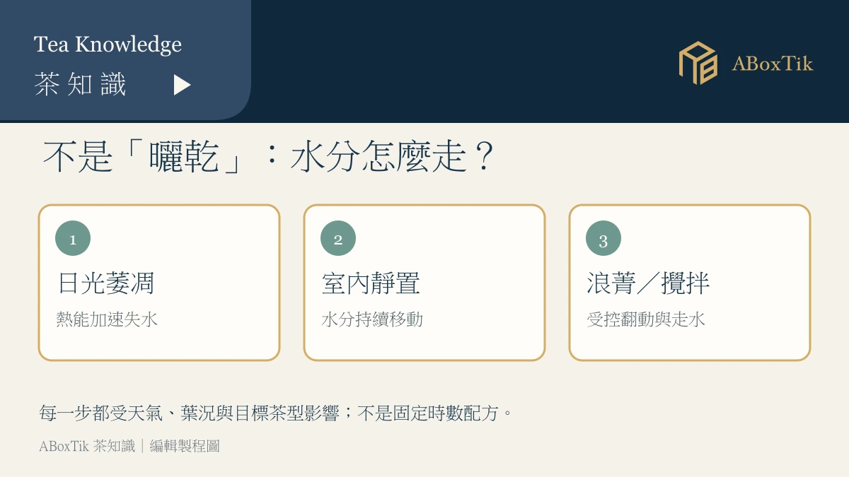 日光萎凋、室內靜置與浪菁走水的三步關係圖
