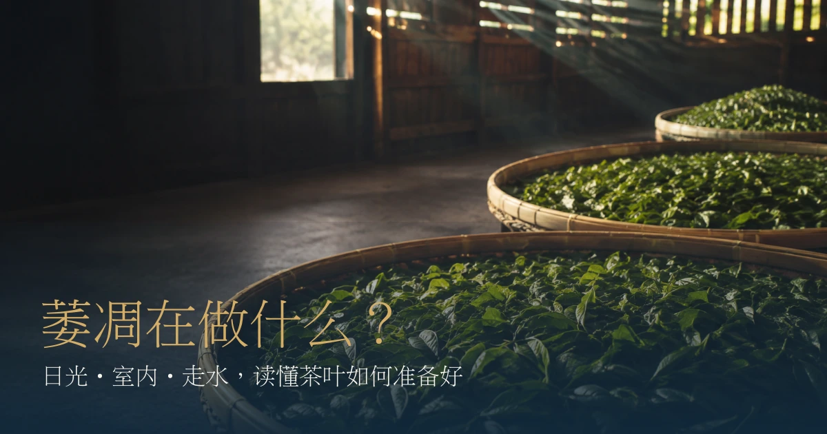 竹笳笠上平铺茶菁的日光萎凋情境与茶叶萎凋标题