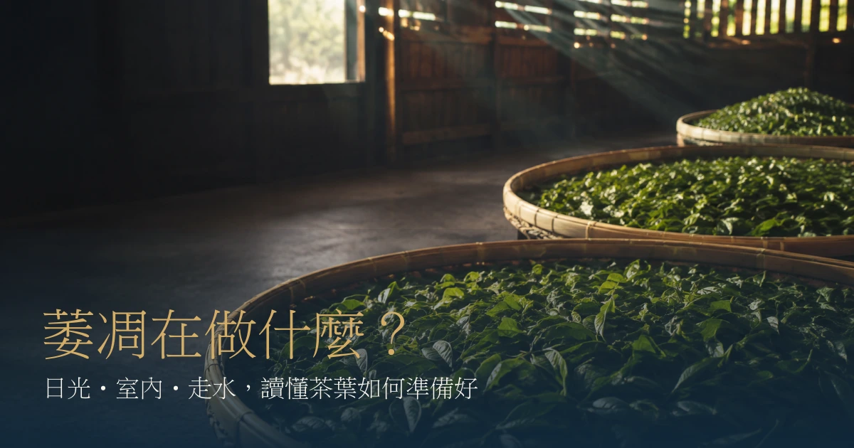 竹笳笠上平鋪茶菁的日光萎凋情境與茶葉萎凋標題