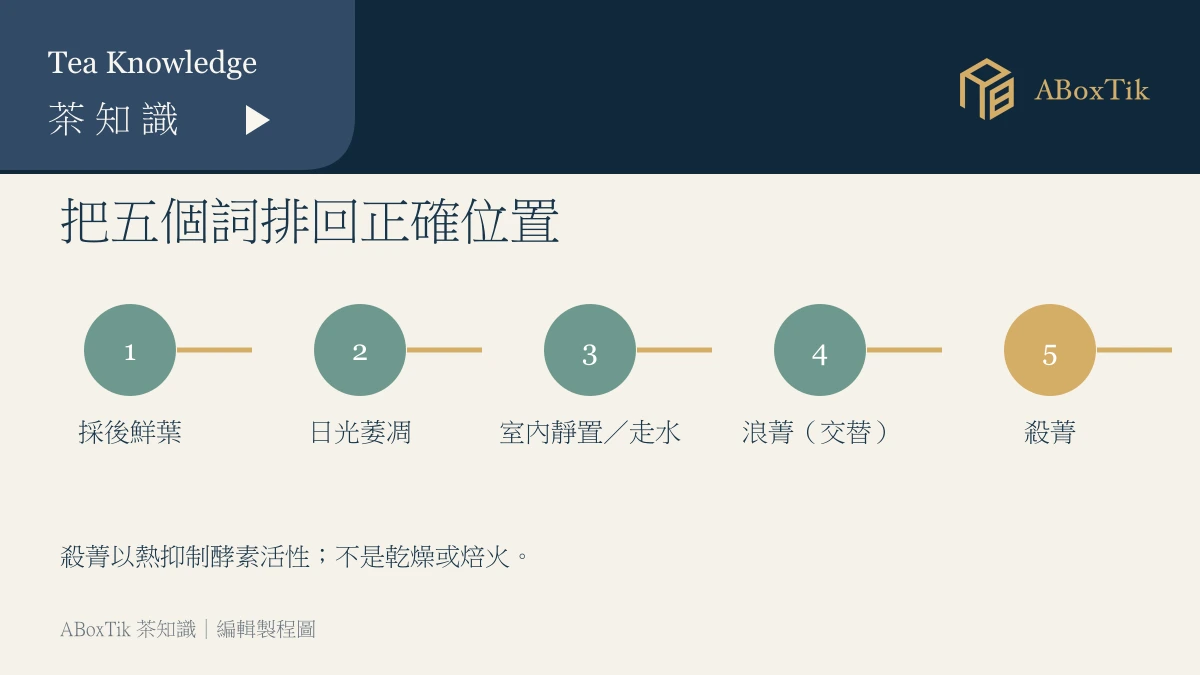 鮮葉、日光萎凋、室內走水、浪菁與殺菁的流程位置圖