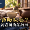 陶壺吸味與日常照顧茶席：無釉陶壺、分開放置的壺蓋與茶杯