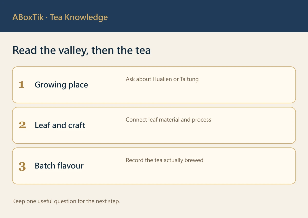 East Taiwan honey-aroma tea guide for regional landscape, leafhopper-associated making and lot notes