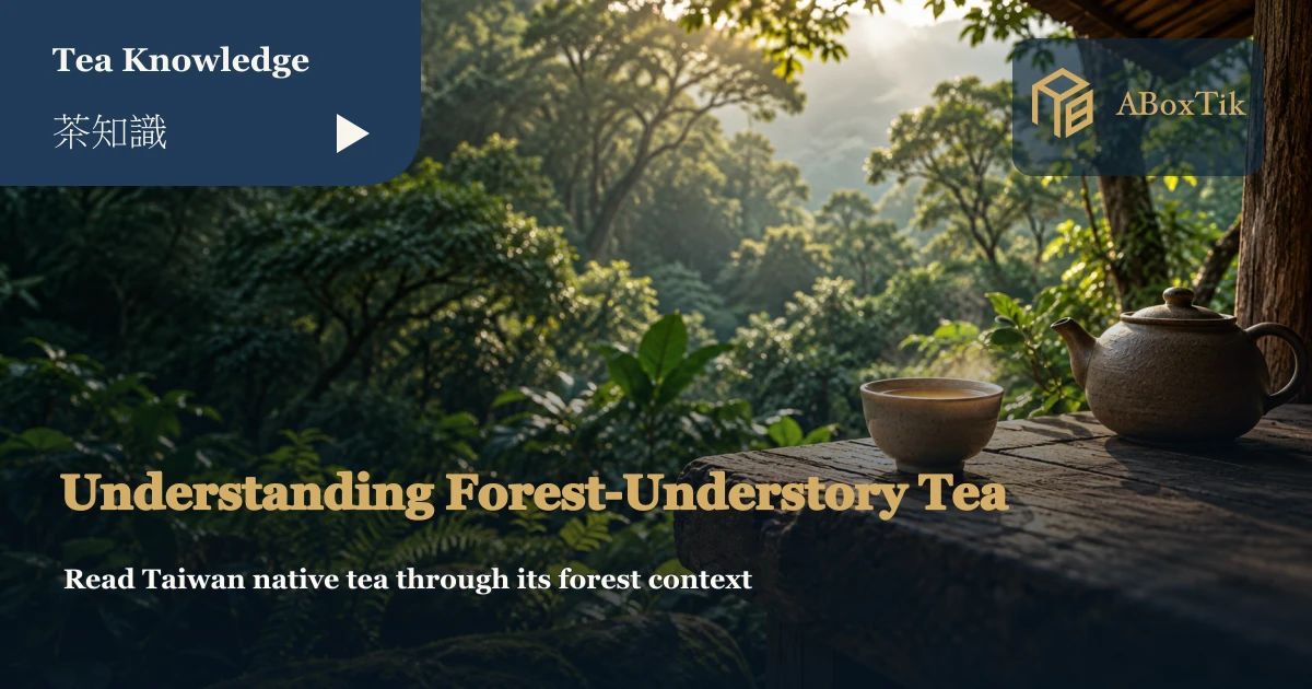 A ceramic tea setting at the edge of a softly lit forest