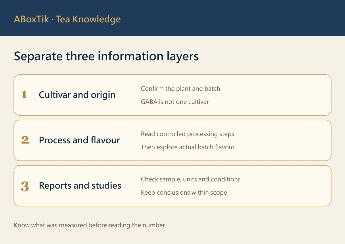 GABA Tea: Processing, Flavour and Reading the Evidence - ABoxTik 一盒精品 2 GABA tea information diagram separating cultivar, processing and analysis
