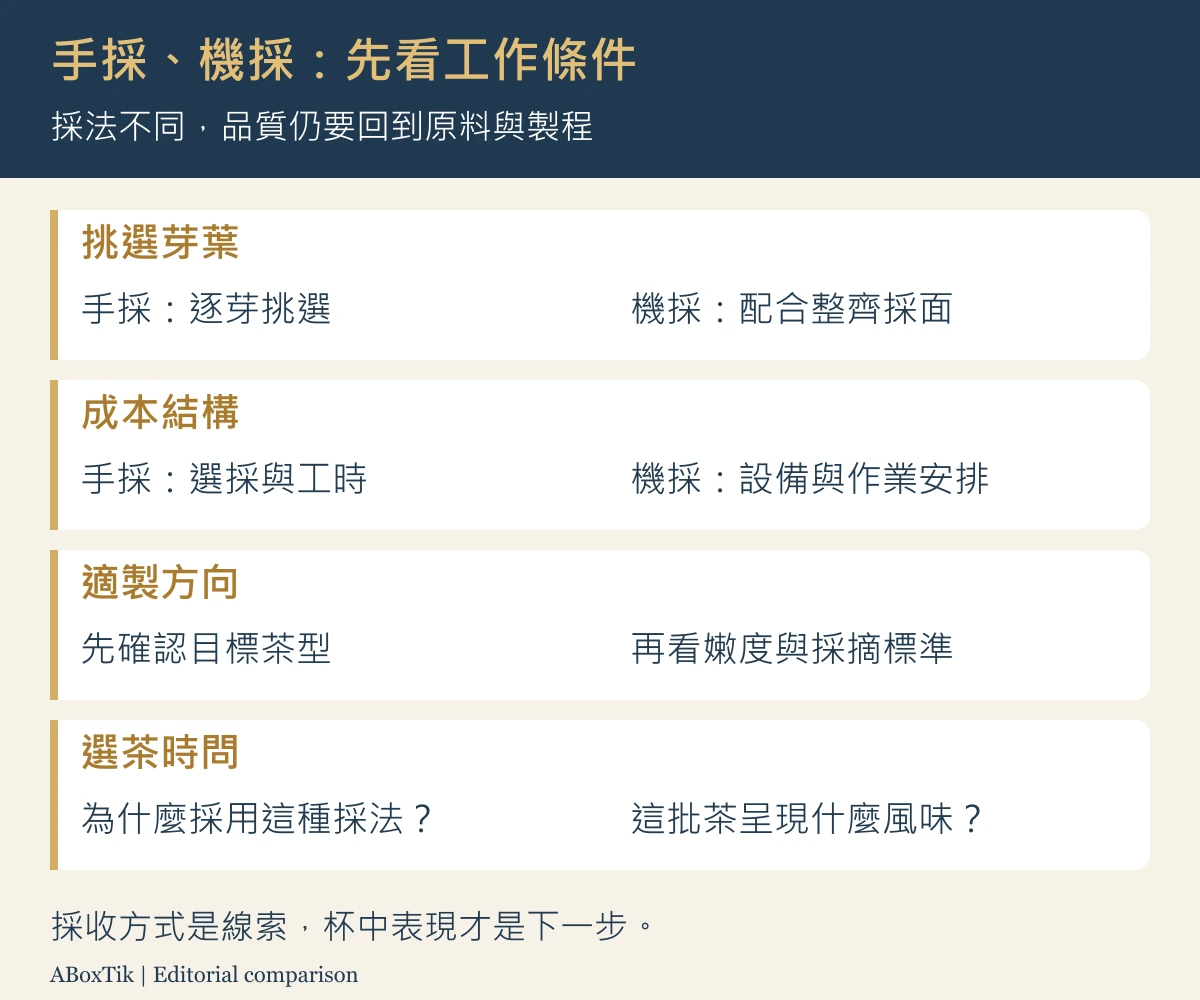 手採與機採茶比較圖，說明葉片選擇、成本結構、預期茶風格與向賣方確認的資訊