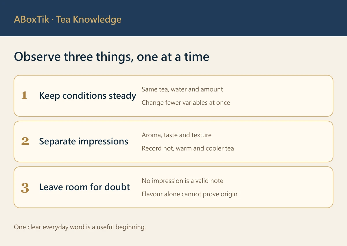 Mountain Rhyme Tea: Observable Clues in High-Mountain Tea - ABoxTik 一盒精品 2 Mountain rhyme observation guide: steady conditions, separate impressions and open questions
