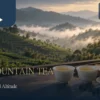 Illustrative high mountain tea quality setting with white tasting cups, dry leaves and misty tea hills