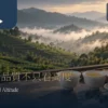 高山茶品質文章情境示意：白瓷杯茶湯、乾茶與遠景雲霧茶山