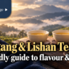 Two cups of high-mountain oolong on a warm tea table, ready for a Huagang and Lishan comparison