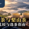 两杯高山乌龙茶置于暖色茶席，准备比较华岗与梨山茶