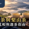 兩杯高山烏龍茶置於暖色茶席，準備比較華崗與梨山茶