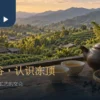 木造茶席上的白瓷茶杯、茶壶与远方丘陵茶园景象