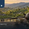 木造茶席上的白瓷茶杯、茶壺與遠方丘陵茶園景象