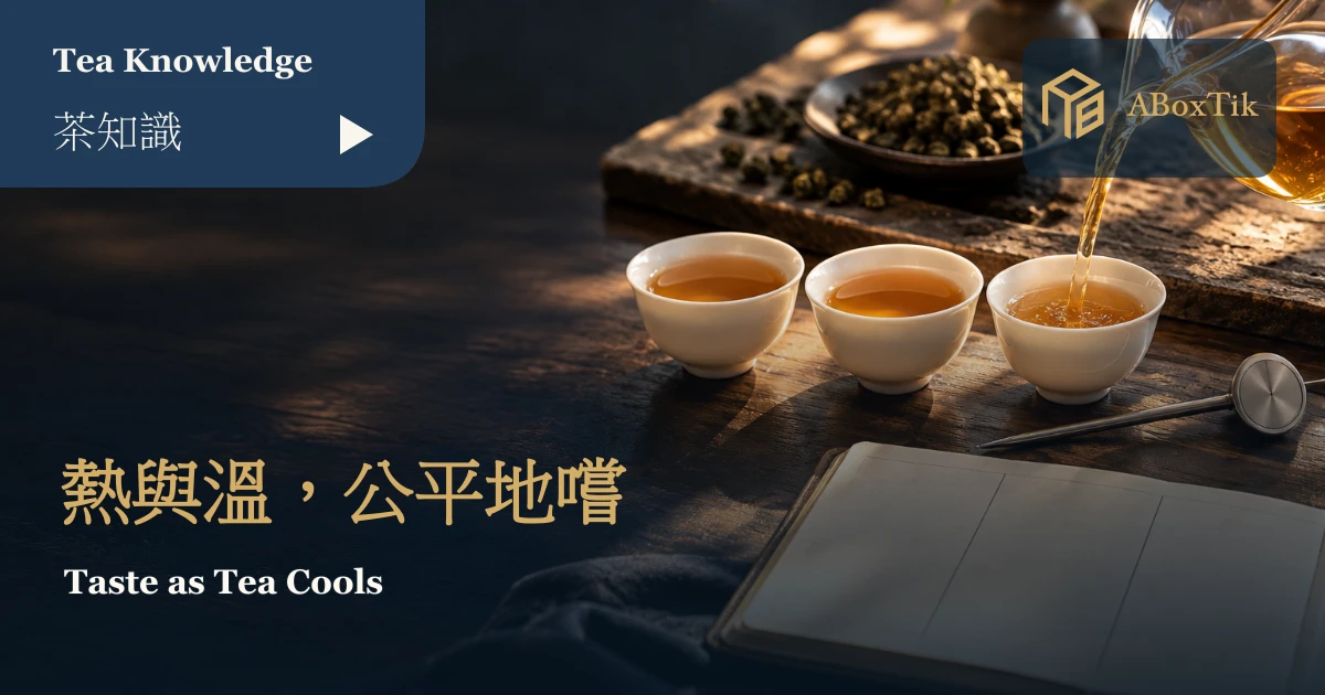 同批琥珀色茶湯分入三只相同白杯