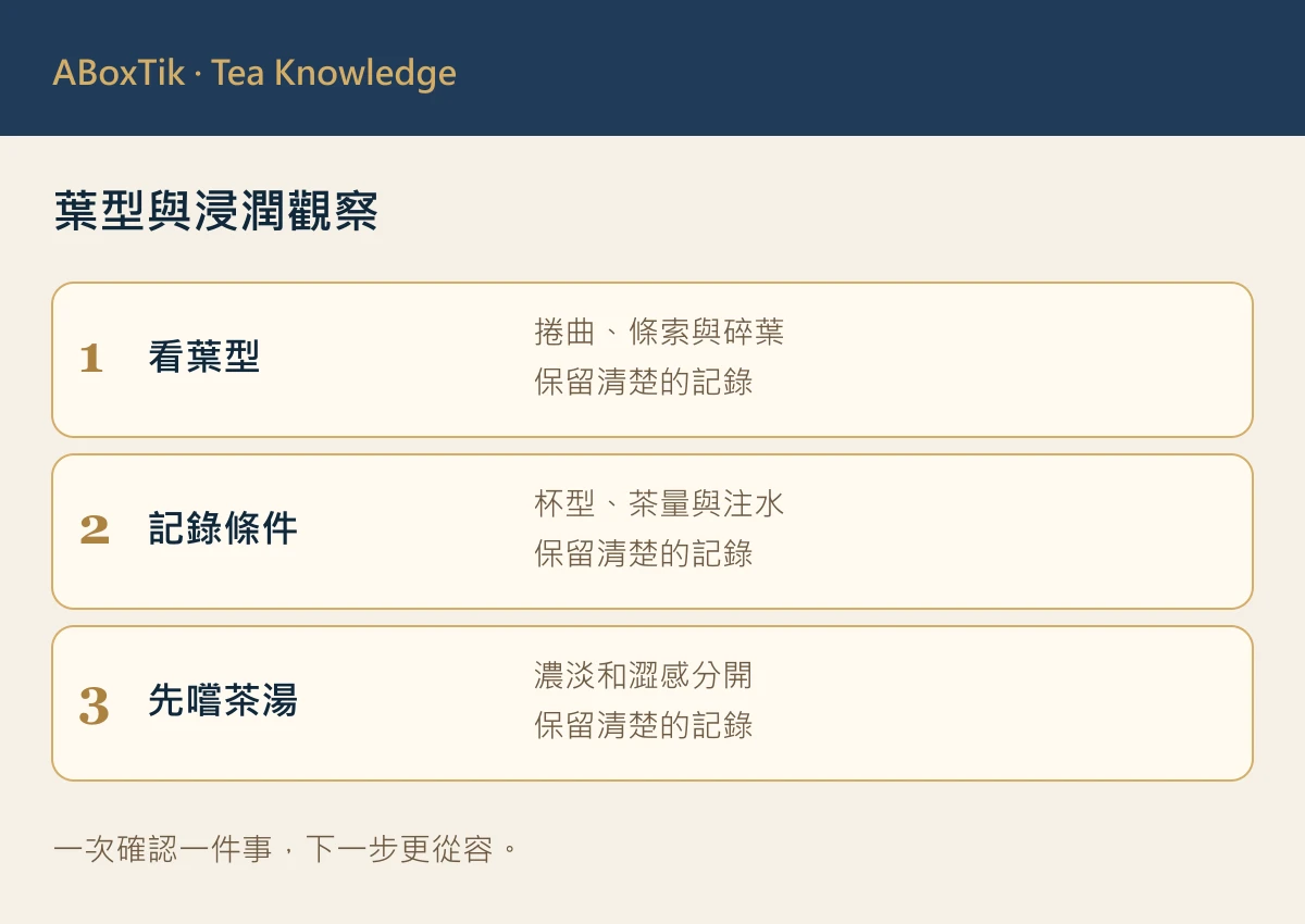 茶葉浮起：葉型與浸潤觀察