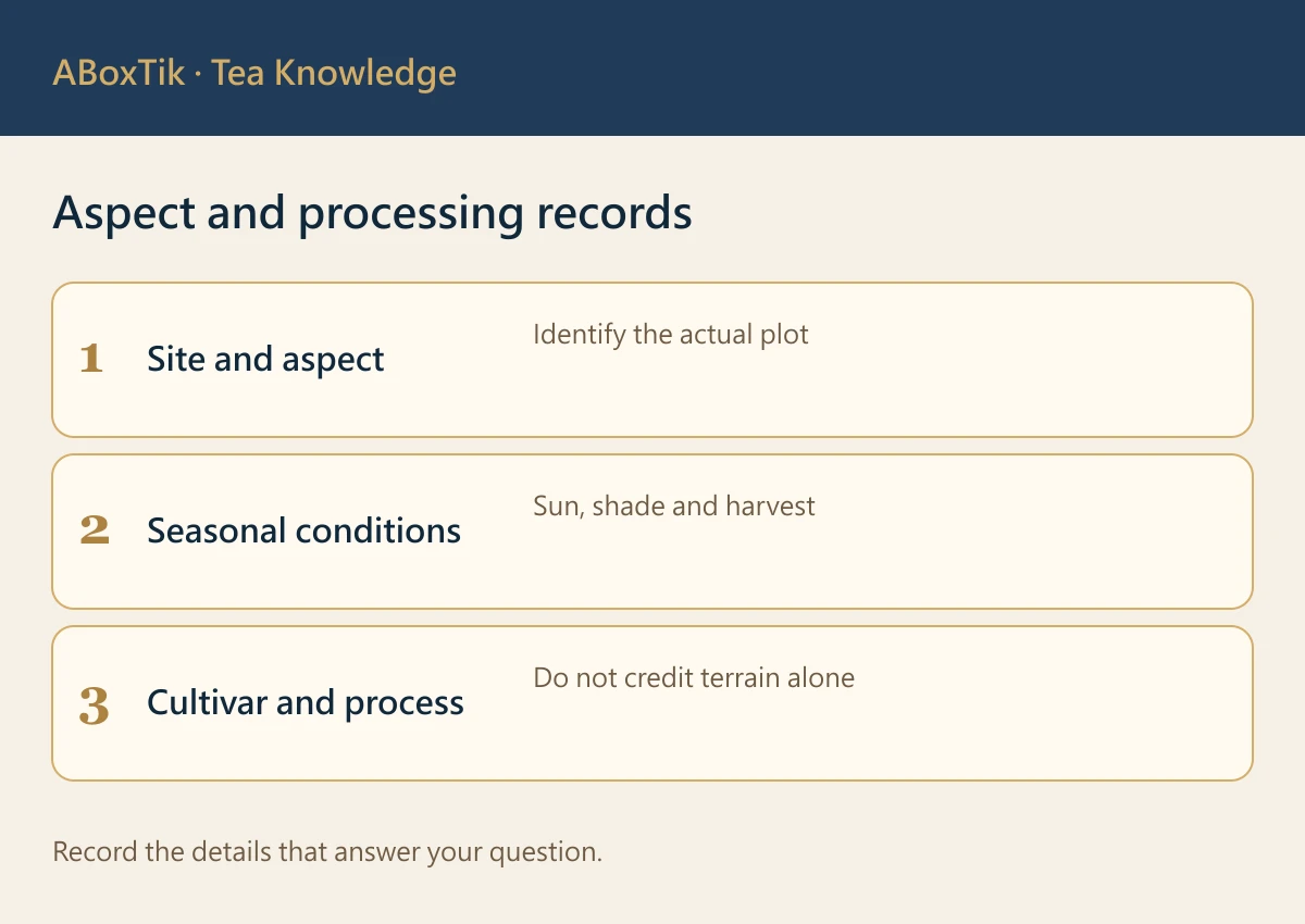Sunny or Shaded Tea Gardens: What to Compare - ABoxTik 一盒精品 2 Aspect and processing records