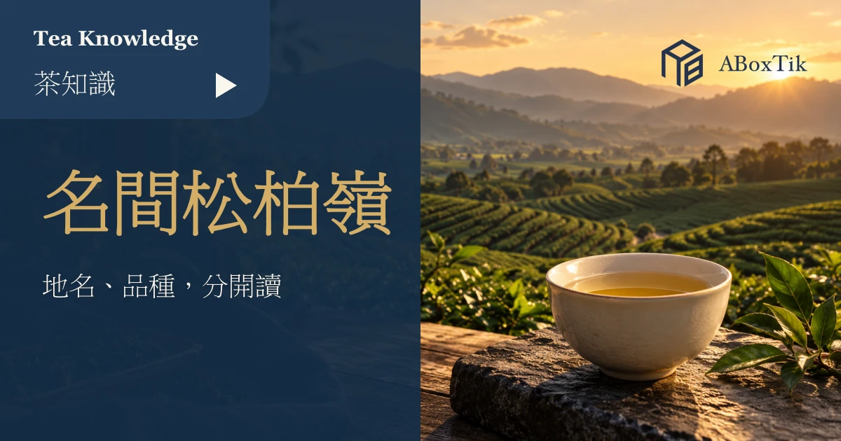名間松柏嶺茶主題的台地茶園示意與茶杯