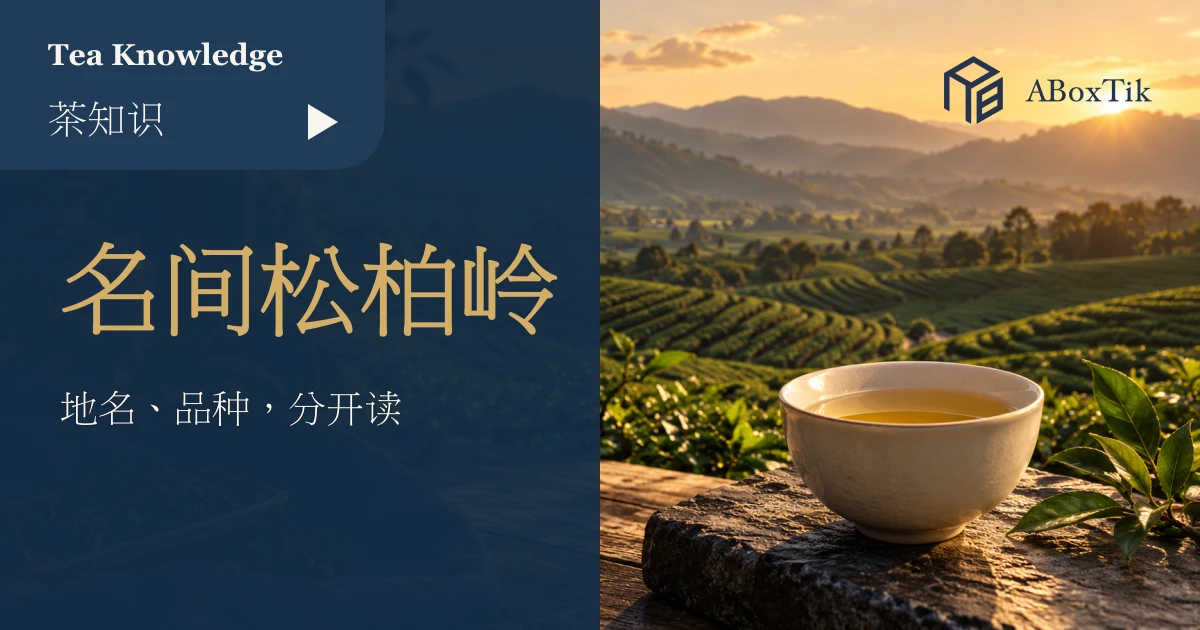 名间松柏岭茶主题的台地茶园示意与茶杯