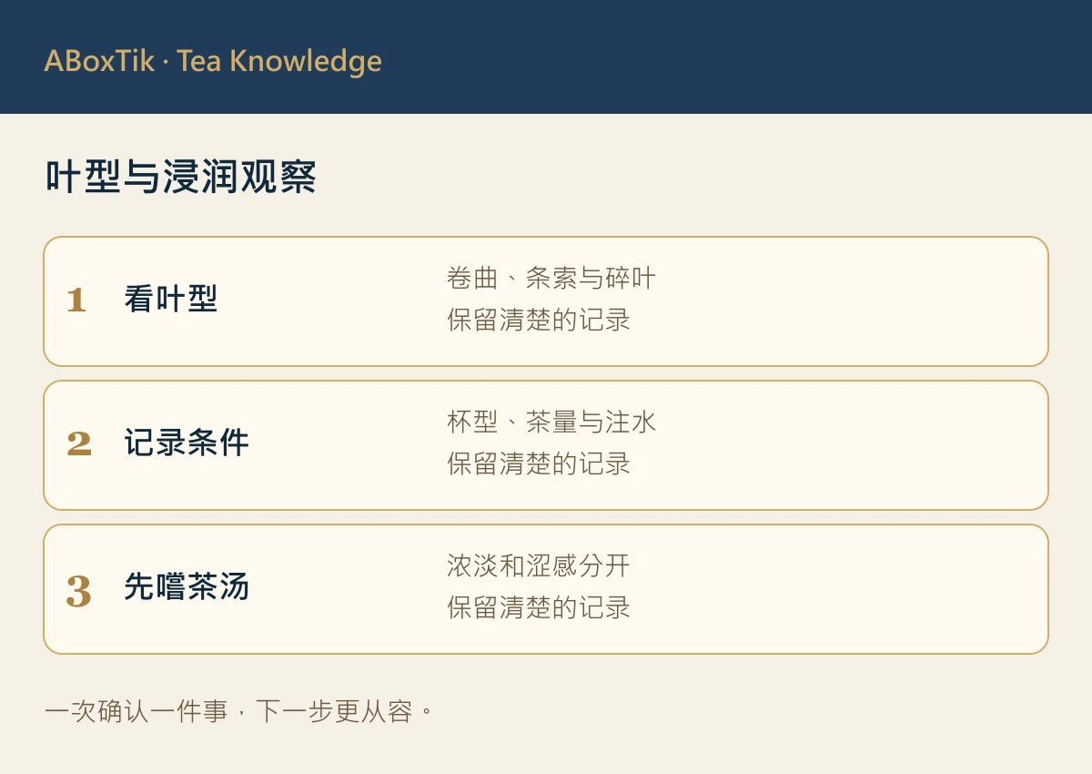 茶叶浮起：叶型与浸润观察