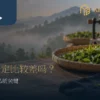 整齐茶青、茶杯与制茶设备构成的台湾茶制作情境