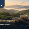 Three cups of amber tea with a hilly tea landscape