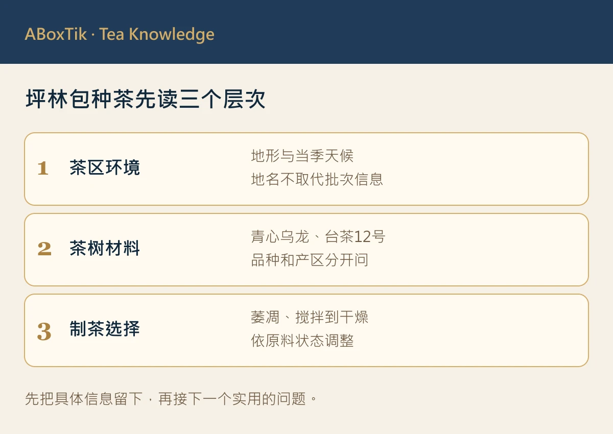 坪林包种茶在暖湿山谷茶园与条索茶样旁的品饮记录