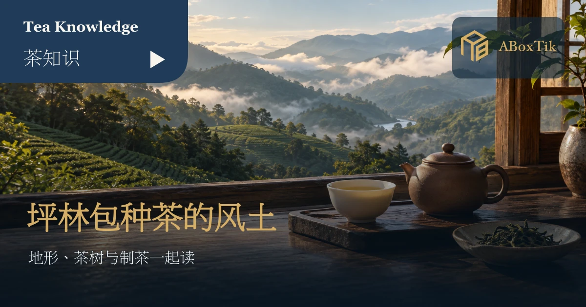 坪林包种茶的山谷茶园与条索茶样