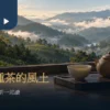 坪林包種茶的山谷茶園與條索茶樣