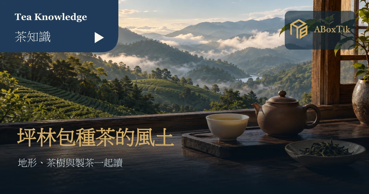 坪林包種茶的山谷茶園與條索茶樣