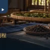 制茶空间中的竹盘、茶叶与木桌茶席