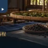 製茶空間中的竹盤、茶葉與木桌茶席