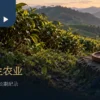 茶树间的地表植物与远方山坡