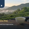 Sanxia biluochun green tea leaves and a porcelain cup before a low-hill tea garden